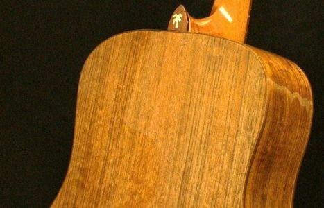 Custom Handmade Dreadnought Acoustic Guitar (Palm Tree)